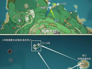 《原神》海灵芝大量采集攻略：探索最新路线，带你快速寻找海灵芝的秘密宝地