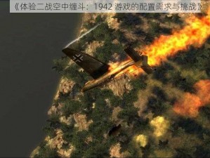 《体验二战空中缠斗：1942 游戏的配置需求与挑战》