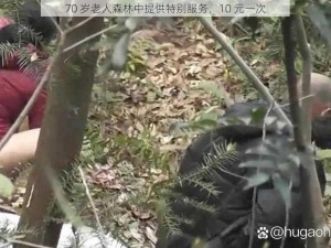 70 岁老人森林中提供特别服务，10 元一次