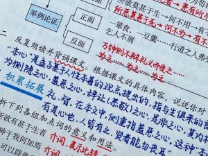 两仪环助你在九重试炼中如鱼得水，你知道它的效果吗？