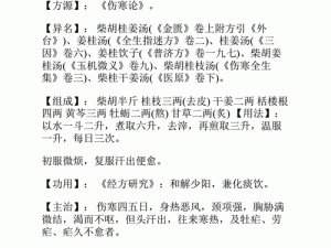 可汗 1H11V1 古言：为什么它是最佳选择？如何解决痛点？