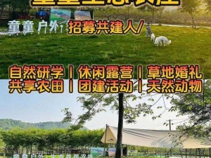 我在桃源的温馨家园生活：探索自然美景与田园乐趣的别样生活简介