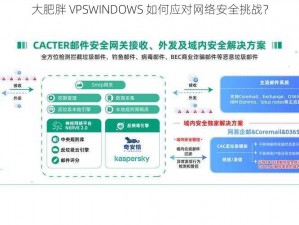 大肥胖 VPSWINDOWS 如何应对网络安全挑战？