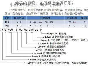 编码的奥秘：如何解读编码规则？