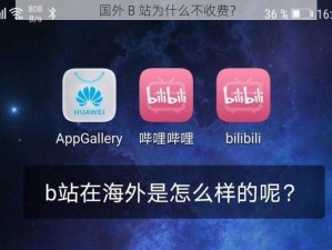 国外 B 站为什么不收费？