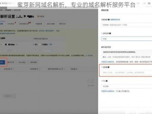 蜜芽新网域名解析，专业的域名解析服务平台