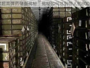 斯泰尔超高弹药储备揭秘：揭秘如何达到惊人的800多实力