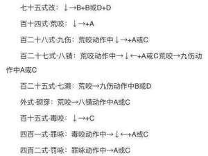 爆火街头格斗游戏安装指南及优化配置说明手册