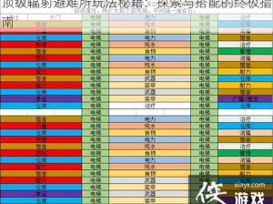 顶级辐射避难所玩法秘籍：探索与搭配的终极指南