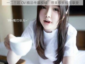 一二三区 OV 精品传媒视频，带来极致视觉享受