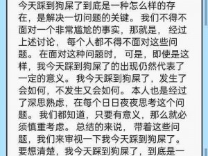 狗屁不通文章生成器—请介绍一下狗屁不通文章生成器的具体功能和使用方法？