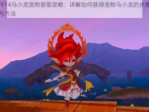 FF14马小龙宠物获取攻略：详解如何获得宠物马小龙的步骤与方法