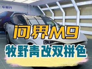 国产硬派 SUV 精二区九色，带你探索未知领域