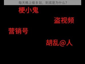 每天晚上偷 B 站，到底是为什么？