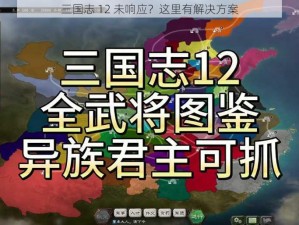 三国志 12 未响应？这里有解决方案