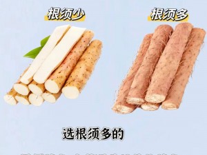 秋葵、丝瓜、茄子、草莓、榴莲、樱桃，这些蔬果有什么特别之处？如何挑选和保存？