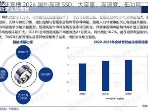 x9x9x9x9 任意槽 2024 国外高速 SSD，大容量、高速度、低功耗，满足多种需求