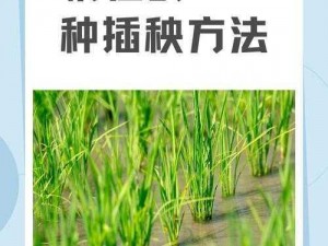 24种男女插秧法—你能否详细介绍一下这 24 种男女插秧法，具体的操作步骤和特点分别是什么？