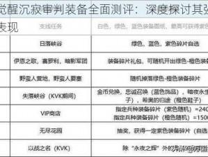 万国觉醒沉寂审判装备全面测评：深度探讨其强度与性能表现