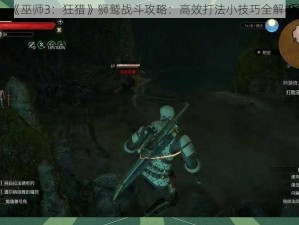 《巫师3：狂猎》狮鹫战斗攻略：高效打法小技巧全解析