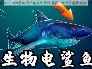 食人鲨Maneater鲨鱼成长与成熟条件详解：全方位解析鲨鱼成熟过程