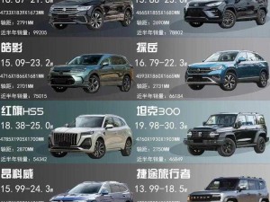 国产SUV精品一区二妻【请详细介绍一下国产 SUV 精品一区二妻的具体情况和相关信息，包括其性能、特点、价格等方面 】