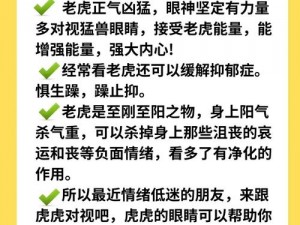 2024 年 4 虎为何突然不能用了？该如何解决？