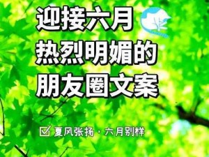 综合开心六月份，激动心情缘何起？