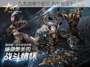 九龙战哪个职业 PVP 称王？