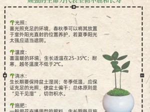 四叶草 gw4334 是什么？有什么用？如何使用？