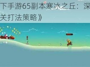 《天下手游65副本寒冰之丘：深度解析通关打法策略》