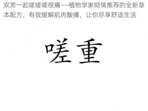 双男一起嗟嗟嗟很痛——植物学家倾情推荐的全新草本配方，有效缓解肌肉酸痛，让你尽享舒适生活