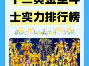 《黄金圣斗士：实战手册之日常任务全攻略》