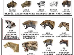 太极熊猫3猎龙剑齿虎全面解析：剑齿虎技能属性介绍及实战体验