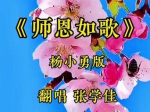 老师啊老师歌曲，为何如此打动人心？