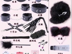 全新女王虐奴系列产品，给你不一样的体验