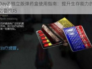 DayZ 独立版弹药盒使用指南：提升生存能力的必备技巧