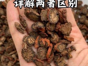 51 精产国品一二三产区的区别在于它们的特点和适用场景各不相同