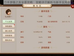 天刀手游猫之友全面攻略：攻略详尽解析与新手实用指南