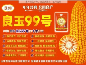 国产精品 999，高品质国货，值得信赖