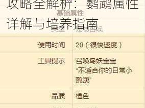 泰拉瑞亚宠物鹦鹉获取攻略全解析：鹦鹉属性详解与培养指南