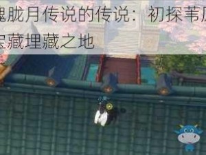 关于侍魂胧月传说的传说：初探苇原城秘境，揭秘宝藏埋藏之地