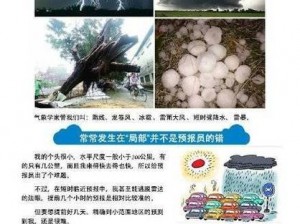 轮流发生【在生活中，哪些现象会轮流发生，它们背后的原因是什么？】