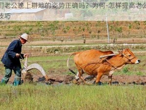 你们老公晚上耕地的姿势正确吗？为何-怎样提高老公耕地技巧