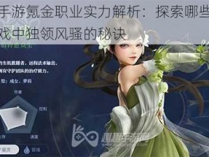 天谕手游氪金职业实力解析：探索哪些职业在游戏中独领风骚的秘诀