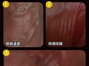 娇妻被黑人大杂交 19P 款成人情趣用品，极致体验，激情释放