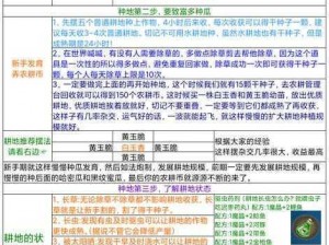 创造与魔法：耕地布局之五点以上策略详解