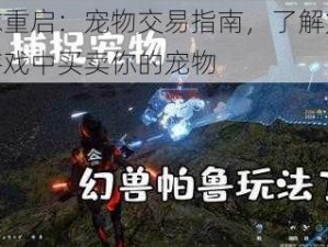 星球重启：宠物交易指南，了解如何在游戏中买卖你的宠物