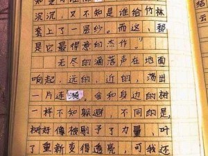 小诗的jianying日记_小诗的 jianying 日记主要记录了哪些生活点滴？