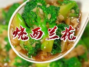 《幻塔风格清炒西兰花烹饪秘籍：解锁美味新境界的烹饪图鉴》